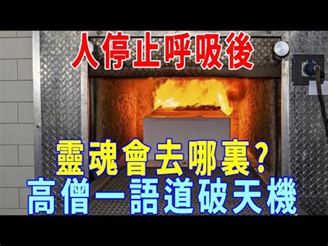 火化過程是否靈魂已跑走|火化要喊「快跑」嗎？正面看待火化，感受心安的莊嚴告別 